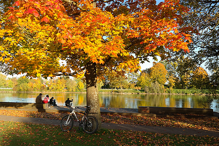 white bicycle beside tree near body of water thumbnail
