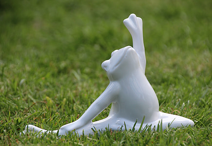 selective focus photography of white frog figurine on ground thumbnail