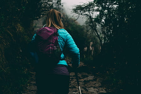 woman walking on forest thumbnail