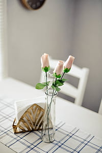 tilt-shift lens photography of three pink rose centerpiece near gold-colored tissue holder both on top of table thumbnail