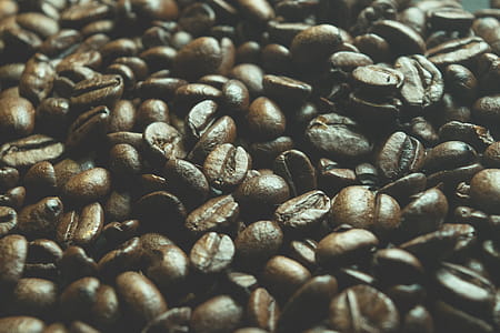 Closeup Photo of Coffee Beans thumbnail