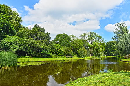 calm body of water surrounded by trees during daytime thumbnail