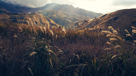 mountain covered with brown grass with sunlight landscape view thumbnail
