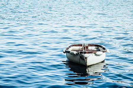 white wooden canoe on body of water thumbnail