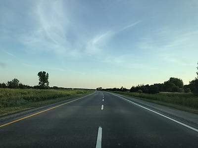 photo of road surrounded by trees thumbnail