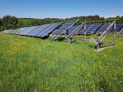 blue solar panels surrounded by grass at daytime thumbnail