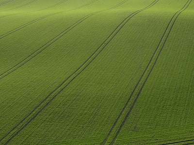 green grassfield thumbnail