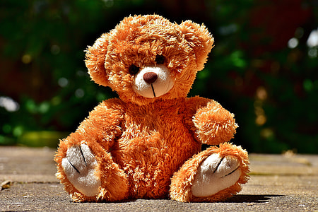 brown teddy bear on gray concrete pavement thumbnail
