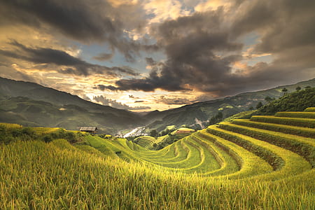 green grass field under cloudy sky thumbnail