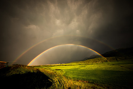 green grass under rainbow and gray sky at daytime thumbnail