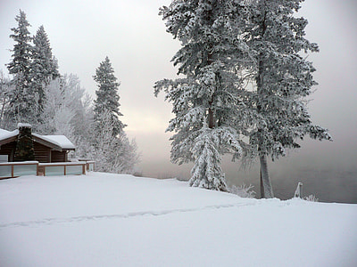 brown wooden house beside trees covered with snow at daytime thumbnail