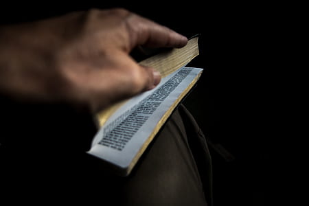 person holding opened book thumbnail
