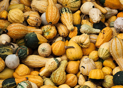 assorted squashes thumbnail