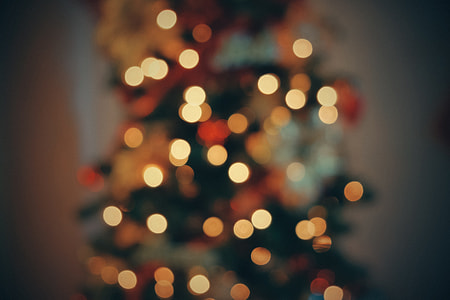 shallow focus photography of holiday tree thumbnail