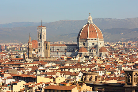 cathedral surrounded by houses during daytime thumbnail