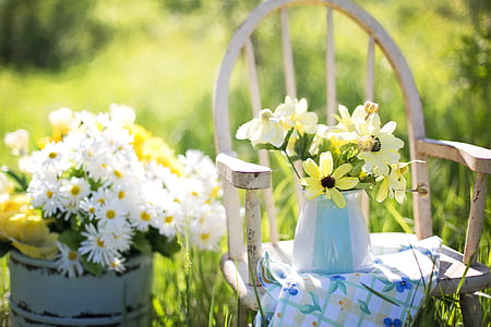 selective focus photography of yellow and white petaled flowers on chair thumbnail