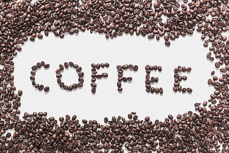 Coffee Spelled In Coffee Photo thumbnail