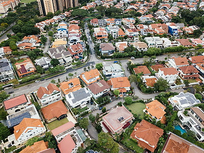 houses surrounded by green trees during daytime thumbnail