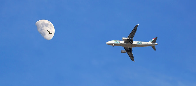 low-angle shot photography of airplane and moon thumbnail