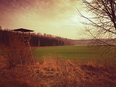 wheat field beside green grass field under sunset thumbnail