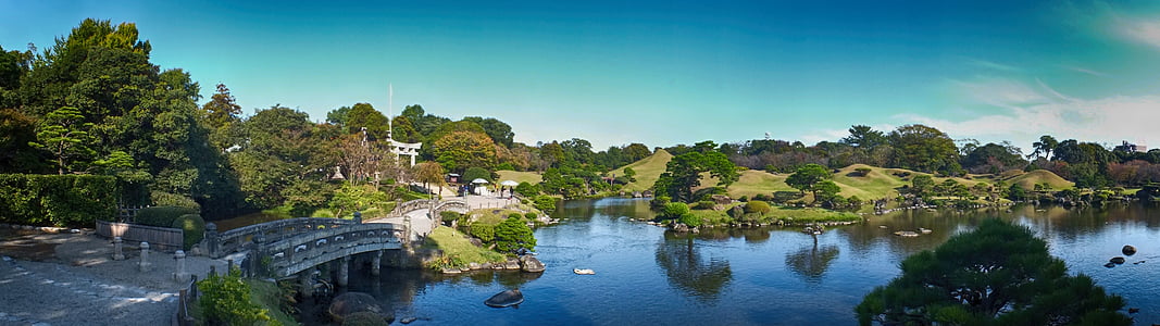 aerial view of green trees near body of water thumbnail