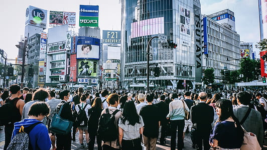 people crossing road during daytime thumbnail