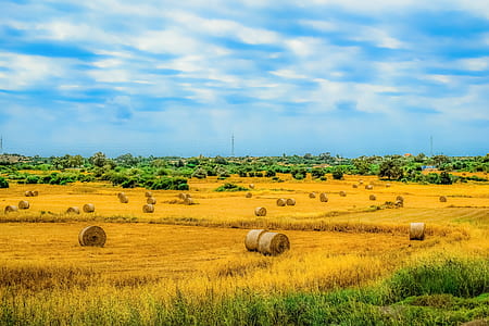 rolls of hay thumbnail