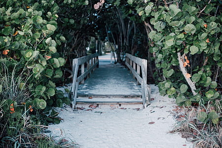 landscape, nature, sand, bridge thumbnail