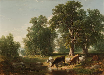 three brown, white, and black cow drinking water on river thumbnail