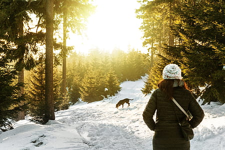 woman carrying bag standing on snowfield near trees thumbnail