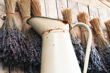 white pitcher beside dried lavenders thumbnail