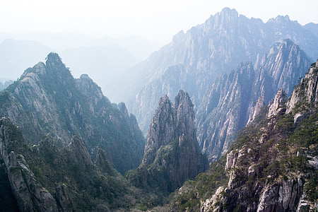 green leafed tree covered mountain photo thumbnail