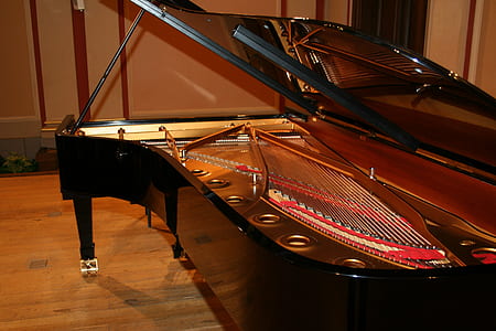 black wooden grand piano on brown wooden parquet floor thumbnail