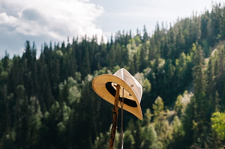 gray and black hat on brown wooden trunk thumbnail