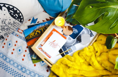 blur, plant, bed, flatlay thumbnail