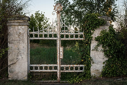 white metal gate near green trees thumbnail