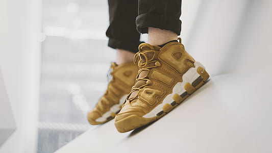 person wearing brown-and-white Nike Air shoes thumbnail