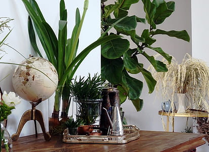 Interior design details A globe and silver tea set in a dining room thumbnail