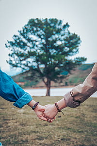 two persons holding hands outdoor in front of tree during daytime thumbnail