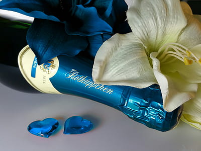 two blue and white flowers thumbnail