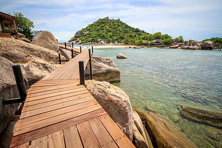 Boardwalk By The Ocean Photo thumbnail