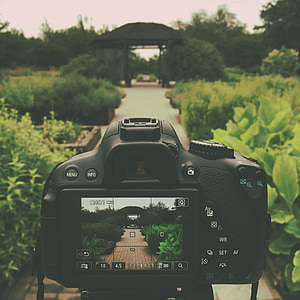 focus photography of camera thumbnail