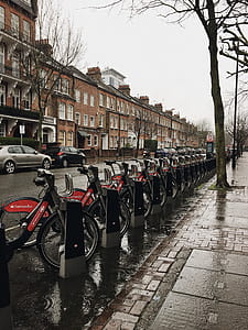 Bicycles on Bike Racks Beside Road thumbnail