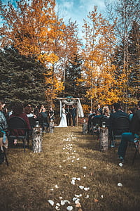 man and woman standing near arbor with priest thumbnail