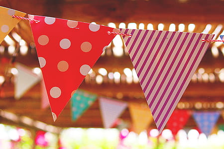 Birthday Party Flags thumbnail