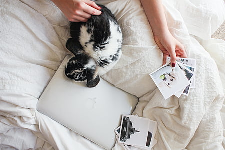 person lying on bed while holding photo of dog thumbnail