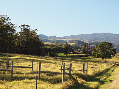 green open field with trees and fence thumbnail