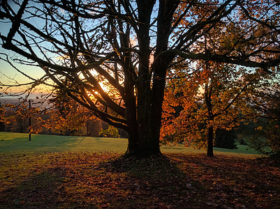 Burnaby Mountain, Burnaby thumbnail