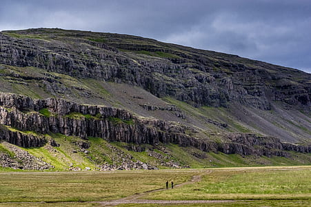 green grass field under gray sky thumbnail