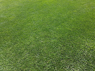 green grass field thumbnail